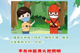 一组图解森林防火小知识，快来一起学习吧！图片