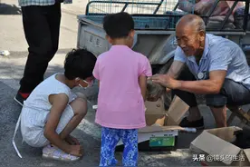 农村大爷卖小土狗，模样俊俏可爱要价5元钱，看卖的啥样图片