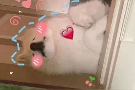 花式撒娇可爱表情包图片