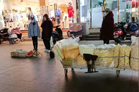 要过年了，弄个摆摊，搞点收入吧图片