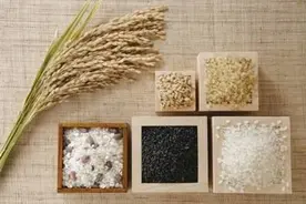 重拾对食物的敬畏图片