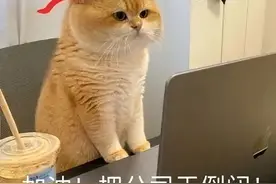 你是招人还是找黑奴？面试悍匪击退HR合集！图片