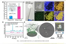 我国学者构建液态金属磁性微型软体机器人图片