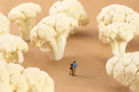 都是“菜花样”，真菜花和假性湿疣，二者有何区别？3点就能分辨图片