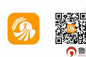 打零工！在手机上一点“零灵发”就能抢到活图片