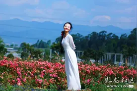 只做春天不做花图片