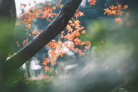 真正聪明的女人，对男人的态度就这三个字，很有远见图片