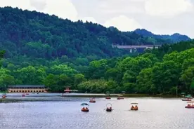全省TOP3！“人气担当”黔灵山公园登榜贵州五一热门景区！图片