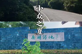 苏州南湖湿地：这个夏天小众、免费大公园图片