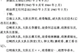 新四军第七师发展史（下）详细资料图片