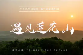 安全常识丨交通事故救援处理方法图片