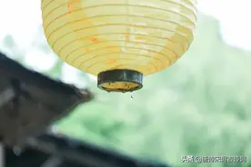 相思春雨中图片