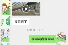 “当初我只是抱了抱它，可它竟然在那里等了我一年...”图片