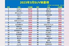 心酸了，2023年3月SUV销量榜，宋PLUS第3，H6第6，荣放第11名图片
