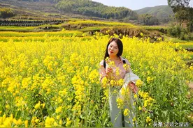 宁波油菜花欣赏胜地，梯田层层叠叠，美丽的风景线图片