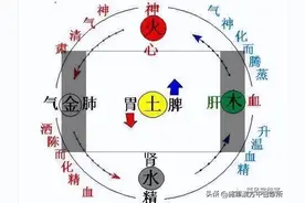 金鼎汤，治疗失眠效如桴鼓图片