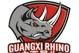 广西威壮篮球俱乐部最终目标冲进CBA！图片