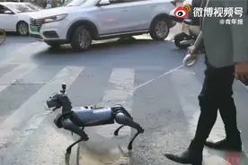 很科幻！上海一男子街头遛机械狗上热搜，网友：小米铁蛋实锤图片