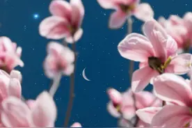 花都开好了，真不想辜负这个春天图片