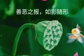 劝君莫做亏心事，古往今来放过谁图片