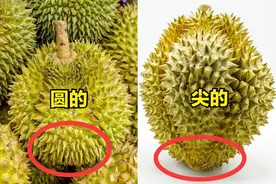 买榴莲，记得区分“圆的”和“尖的”，差别挺大，弄懂再买才有底图片