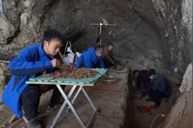 “夏娃理论”被质疑，人类真起源于非洲吗？中国发现的化石很关键图片