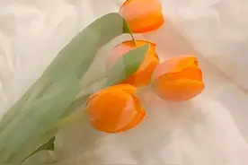 没有本事的男人，往往会有这些表现，希望你没有图片