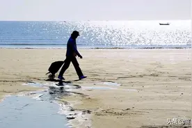 细团吧！山东乳山有10万一套海景房图片