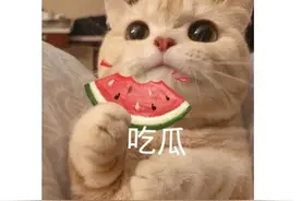 一周神评论：DNF手游韩服上线还做PC端，网友吐槽：为啥不玩端游图片