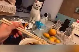 一个冷知识：螺蛳粉的臭就是屎的臭图片