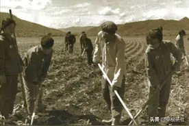 知青岁月：退休后回家看望老母亲弟媳不让进门，他带着母亲回东北图片