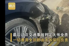 大爷撞上奥迪老伴下车后秒晕倒图片