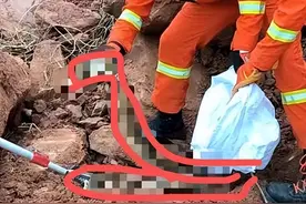 吓人！福建一工地挖出35斤巨蟒，冬蛇出洞是灾难前兆？究竟有多险图片