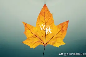 二十四节气丨立秋 云天收夏色 木叶动秋声图片