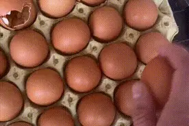 有风湿病，湿气重的人去新疆能治好的！图片