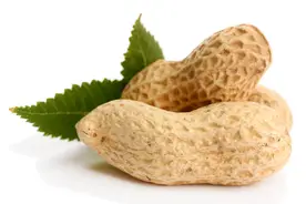 花生是糖尿病“导火索”？若想胰岛强壮，4种食物再爱吃也要少碰图片