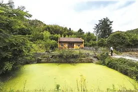苏东坡对万市有“三心”图片