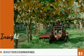 新西兰的猕猴桃到底贵在哪？图片