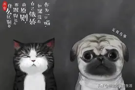 我为何钟情《就喜欢你看不惯我，又干不掉我的样子》这本书？图片