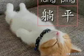 单位里职工躺平的原因是觉得不值得，不值得干，不值得卖命图片