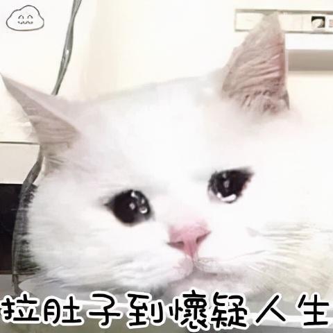花胶泡脚对胃好 2026年花胶泡脚好吗