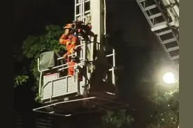 云南芒市 一小学生备战全国青科赛的无人机不慎挂树上了，无奈报警求助图片