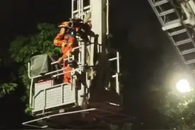 云南芒市 一小学生备战全国青科赛的无人机不慎挂树上了，无奈报警求助图片
