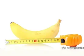 “顶天立地”的18厘米是真实存在的吗？图片
