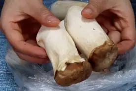 杏鲍菇放锅里蒸一蒸，想不到这么好吃，比肉还香的素菜，太棒了图片