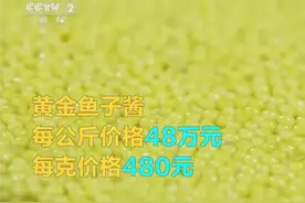 只有0.0001概率！黄金鱼子酱别说没吃过，见都没见过图片