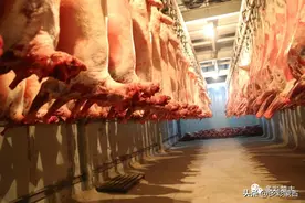 蒙古肉类协会：政府出口禁令对蒙古对华出口肉类企业带来很多困难图片