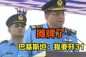 你找中国我找谁？眼见巴基斯坦要买歼31，印度有些慌了！图片