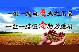 中国一天需要消耗多少粮食？图片