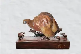 龟主题奇石入围作品展播（一）图片